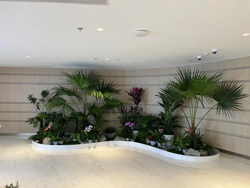 宁波奉化专业花卉出租，为环境增添缤纷色彩